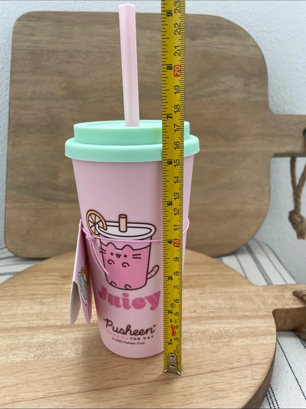 SALE! NWT Kids Pink Travel Cup with Mint Lid - Breakfast Club Pusheen The Cat 7”